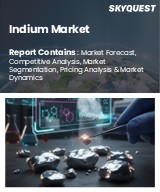Global Indium Market