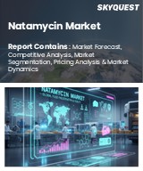 Global Natamycin Market