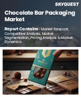 Global Pipeline Construction Market