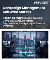 Campaign Management Software Market