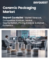 Global Ceramic Packaging Market
