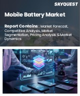 Mobile Battery Market