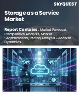 Storage as a Service Market