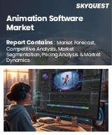 Animation Software Market