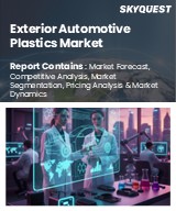 Global Exterior Automotive Plastics Market