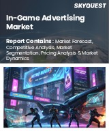In-Game Advertising Market