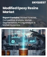 Modified Epoxy Resins Market