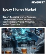 Epoxy Silanes Market