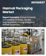 Global Hazmat Packaging Market