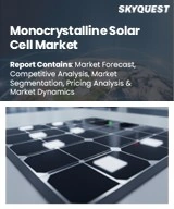 Global Monocrystalline Solar Cell Market