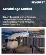 Global Aerobridge Market