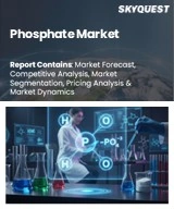 Phosphate Market