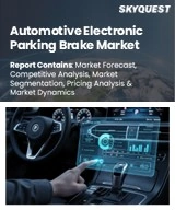 Global Automotive Electronic Parking Brake Market