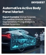 Automotive Active Body Panel Market