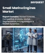 Global Small Marine Engines Market