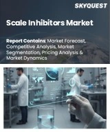 Global Scale Inhibitors Market