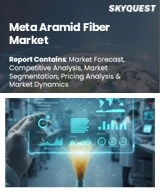 Global Meta-Aramid Fiber Market