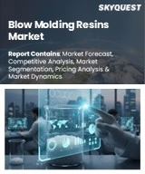 Global Blow Molding Resins Market