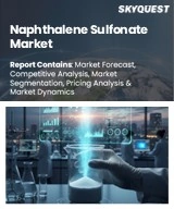 Naphthalene Sulfonate Market