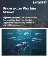 Global Underwater Warfare Market