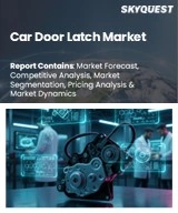 Global Car Door Latch Market