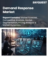 Global Demand Response Market