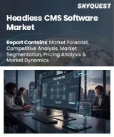 Headless CMS Software Market