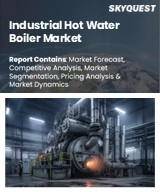 Industrial Hot Water Boiler Market