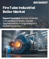 Fire Tube Industrial Boiler Market