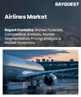 Global Airlines Market