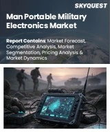 Global Man Portable Military Electronics Market