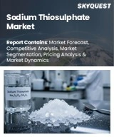 Global Sodium Thiosulphate Market
