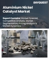 Global Aluminium Nickel Catalyst Market