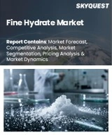 Global Fine Hydrate Market
