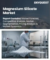 Magnesium Silicate Market