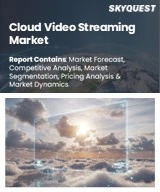 Cloud Video Streaming Market