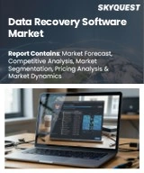 Data Recovery Software Market