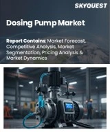 Global Dosing Pump Market
