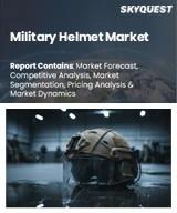 Global Military Helmet Market
