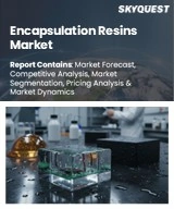 Global Encapsulation Resins Market