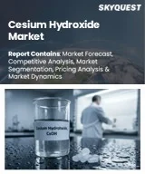 Cesium Hydroxide Market