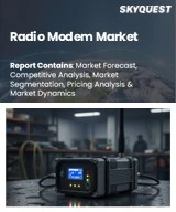 Radio Modem Market