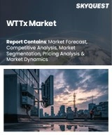WTTx Market