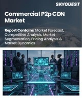 Commercial P2p CDN Market
