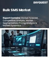 Bulk SMS Market