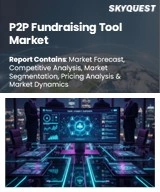 P2P Fundraising Tool Market