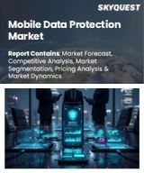 Mobile Data Protection Market