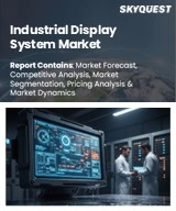 Industrial Display System Market