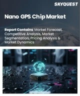 Nano GPS Chip Market