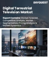 Digital Terrestrial Television Market
